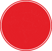 Rhs Tassie Sticker by Red Herring Surf Co