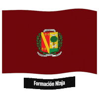 Pais Vasco Flag Sticker by Formación Ninja