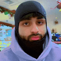 Pet Gangster GIF