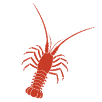 Lobster Sticker by British Virgin Islands