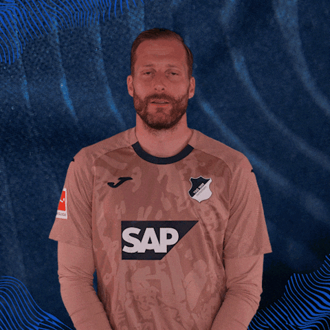 Sport Bundesliga GIF by TSG Hoffenheim