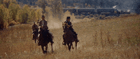 thecoolidge coolidge corner theatre coolidge paul newman robert redford GIF