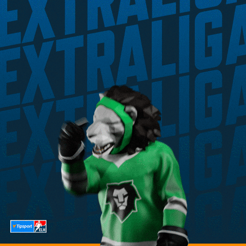 Hockey Hokej GIF by Tipsport extraliga
