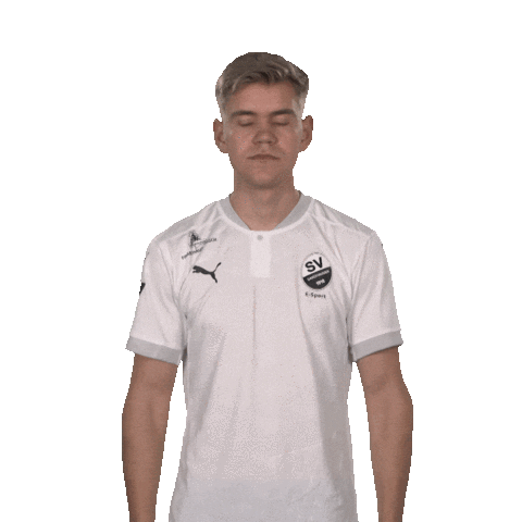 Sv Sandhausen What Sticker by Bundesliga