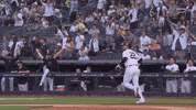 Major League Baseball Sport GIF by MLB
