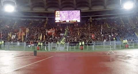 curva sud football GIF by AS Roma