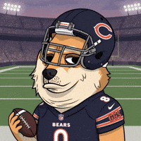 Chicago Bears Football GIF by Doge Pound
