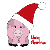 Stay Safe Merry Christmas Sticker
