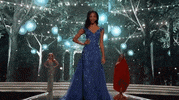 evening gown competition GIF by Miss USA