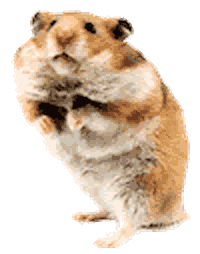 hamster STICKER