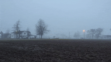 Fog Blurs Landscape in Northwestern Ohio