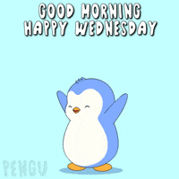 Excited Jump GIF by Pudgy Penguins