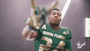 College Football GIF by USF Athletics