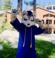 LakeTahoeCC mascot coyote coyotes lake tahoe GIF