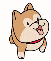 Shiba Inu Love GIF by Ai and Aiko