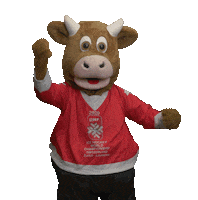2020iihfworlds game yes goal yeah Sticker