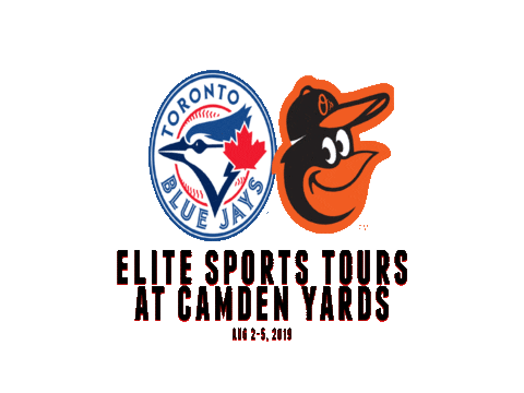 Baltimore Orioles Sticker by EliteSportsTours