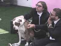 Loyal GIF by Young Bombs