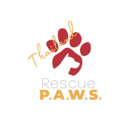 Donate Educate Sticker by Rescue P.A.W.S. Thailand