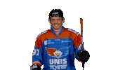 unisflyers goal eagles flyers nederland Sticker
