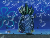 season 6 penny foolish GIF by SpongeBob SquarePants