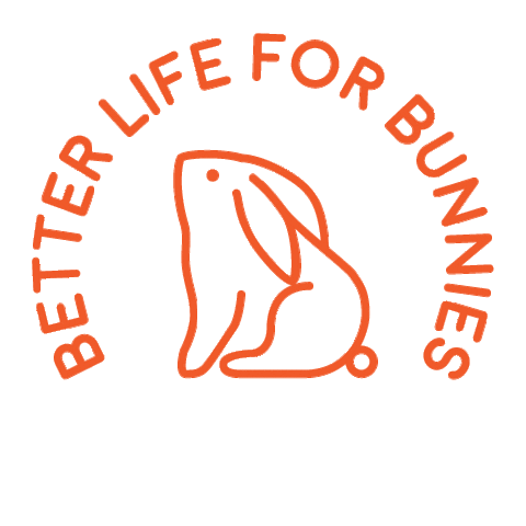 betterlifeforbunnies giphyupload new post bunny rabbit Sticker