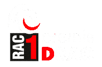 Rac Radiocat Sticker by BCN GIFS