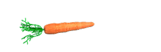 carrots STICKER
