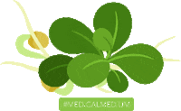 Health Vegetables Sticker by Medical Medium