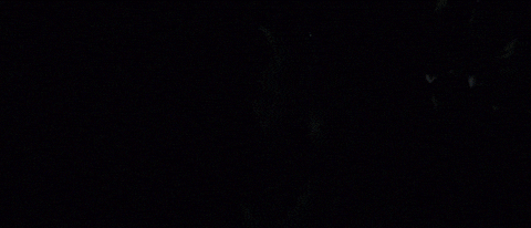 Alice Glass GIF by Astra Zero