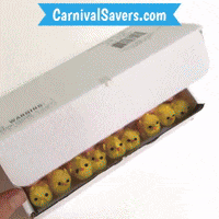 CarnivalSavers carnival savers carnivalsaverscom easter toy mini fuzzy chicks small toy GIF