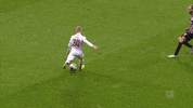 1 Fc Cologne Football GIF by 1. FC Köln