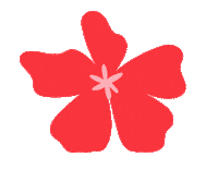 Flower Daisy Sticker by Natural Scents Mx