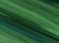 Choji GIF