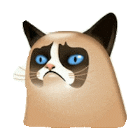 grumpy cat STICKER by imoji