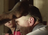 Wild Boy GIF by Machine Gun Kelly