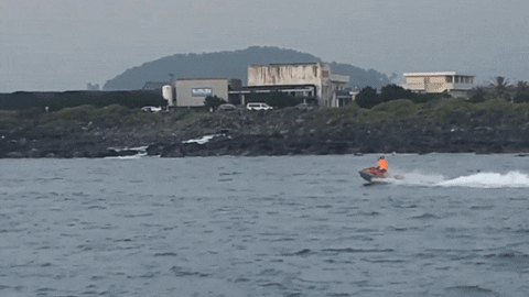 7b206a4cb998427e91c9b8128743cc78 giphyupload GIF