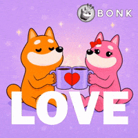 Crypto Love GIF by BONK