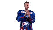 Eishockey Sticker by Adler Mannheim
