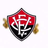 Ecvitoria GIF