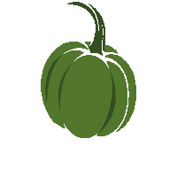 ilgiardinodellezucchepp halloween jump orange autumn Sticker