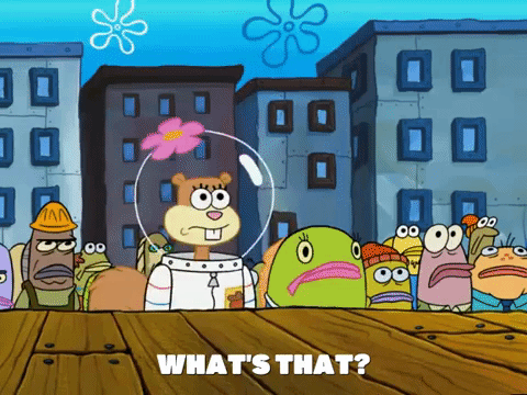 season 5 GIF by SpongeBob SquarePants