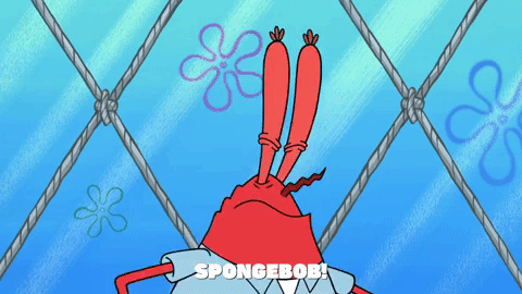 season 9 squid defense GIF by SpongeBob SquarePants