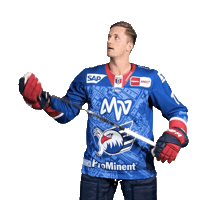 Reichel Sticker by Adler Mannheim