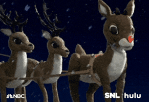 saturday night live rudolph GIF by HULU