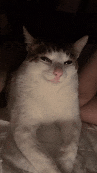 Oab Bao Bao GIF