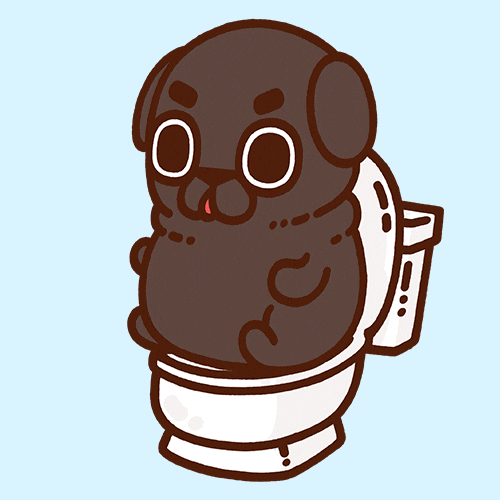 GIF by Puglie Pug