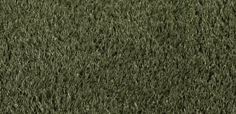 Womens Lacrosse GIF by Lafayette Leopards