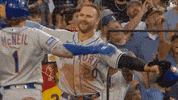 Celebration Hug GIF by New York Mets