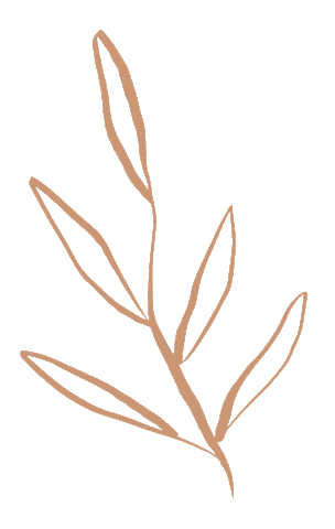 Shopliv3 giphyupload plant leaf modern Sticker